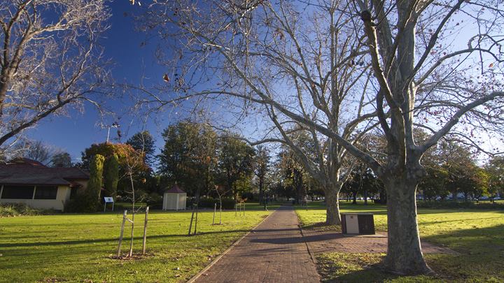 Dubbo